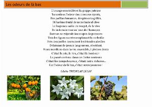 LES ODEURS DE LA BAS (2)